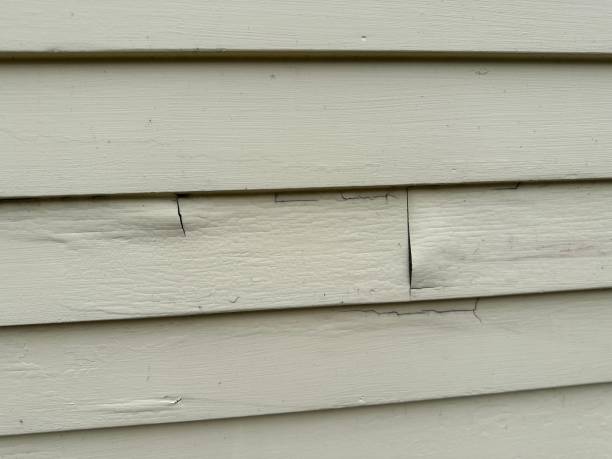 Best Stucco Siding  in Cottonwood, CA